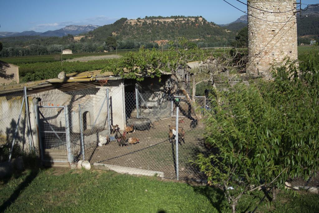 Mas Taniet Hotel Rural Benissanet Zewnętrze zdjęcie