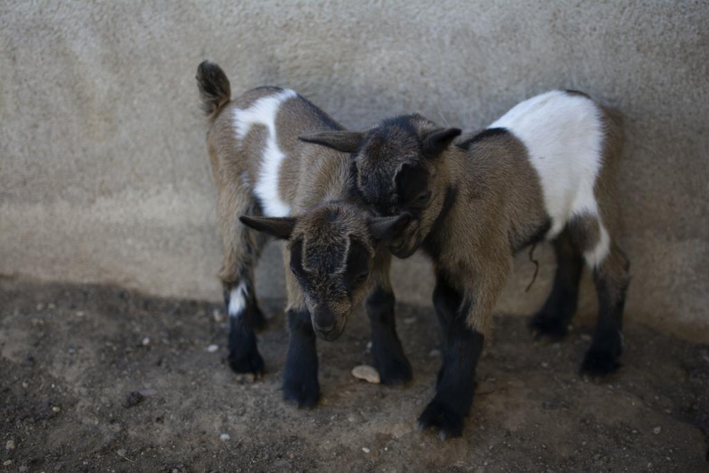 Mas Taniet Hotel Rural Benissanet Zewnętrze zdjęcie